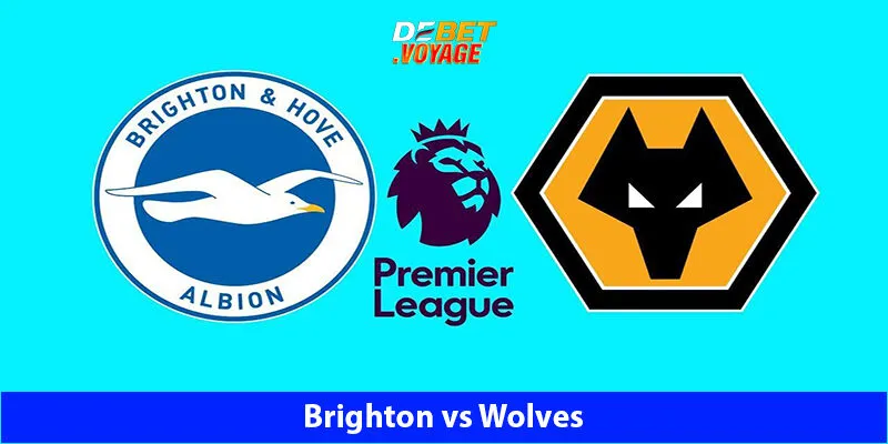 Dự Đoán Kèo Bóng Brighton vs Wolves 21h00 Ngày 26/10 10 Dự Đoán Kèo Bóng Brighton vs Wolves 21h00 Ngày 26/10