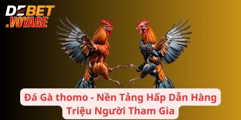 Đá Gà thomo - Nền Tảng Hấp Dẫn Hàng Triệu Người Tham Gia 7 Đá Gà thomo - Nền Tảng Hấp Dẫn Hàng Triệu Người Tham Gia