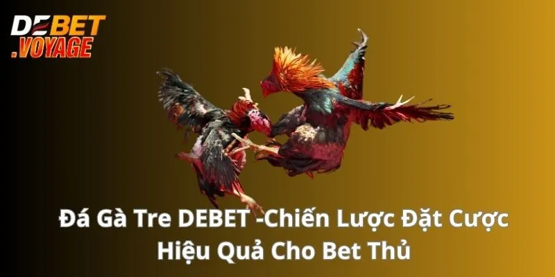 Đá Gà Tre - Chiến Lược Đặt Cược Hiệu Quả Cho Bet Thủ 4 Đá Gà Tre - Chiến Lược Đặt Cược Hiệu Quả Cho Bet Thủ