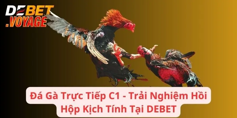 Đá Gà Trực Tiếp C1 - Trải Nghiệm Hồi Hộp Kịch Tính Tại DEBET 7 Đá Gà Trực Tiếp C1 - Trải Nghiệm Hồi Hộp Kịch Tính Tại DEBET