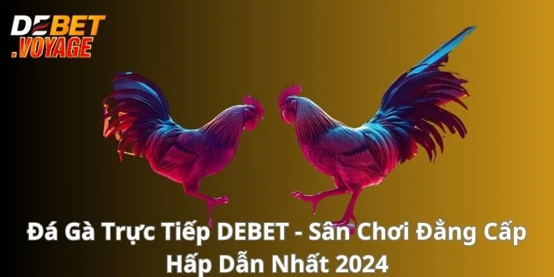 Đá Gà Trực Tiếp - Sân Chơi Đẳng Cấp Hấp Dẫn Nhất 2024 3 Đá Gà Trực Tiếp - Sân Chơi Đẳng Cấp Hấp Dẫn Nhất 2024