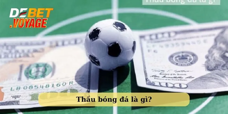 Thầu bóng đá là gì? Tất tần tật những điều Debet chia sẻ 5 Tìm hiểu về thầu bóng đá