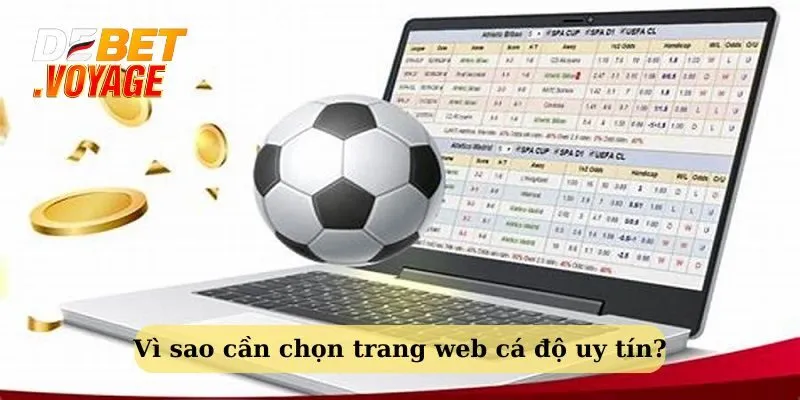 Tiêu Chí Chọn Trang Web Cá Độ Uy Tín Cùng Debet 10 Lý do nên chọn trang web cá cược uy tín